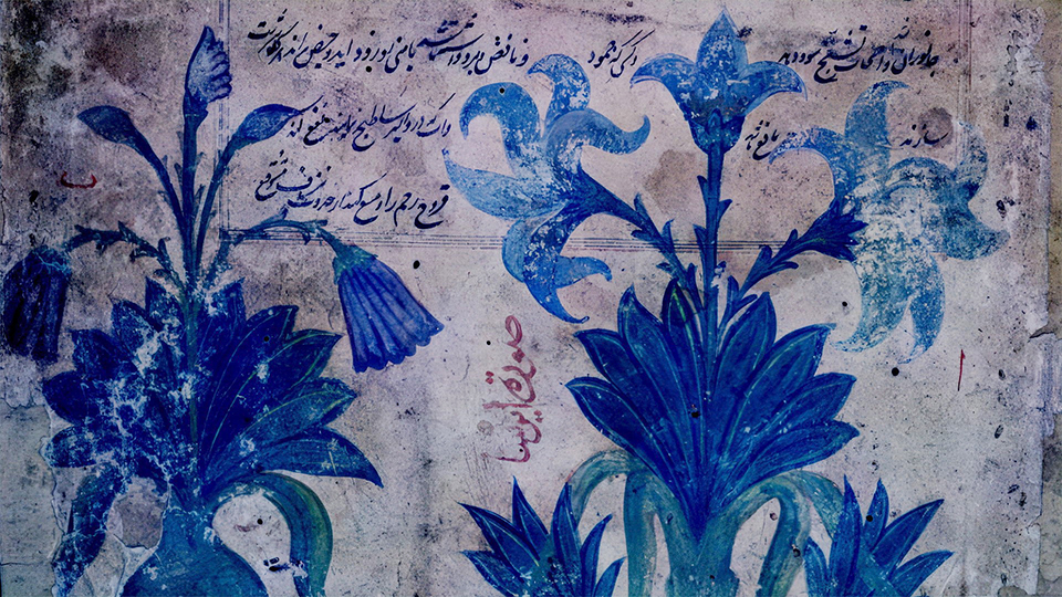 Still from Daria's Night Flowers (گلهای شب ِدریا)